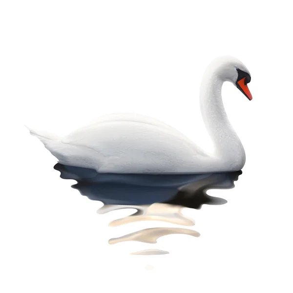 Swan, vektör çizim — Stok Vektör