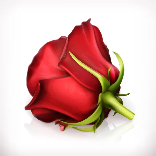 Vektorillustration der Roten Rose — Stockvektor