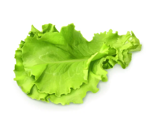 Lechuga verde fresca — Vector de stock