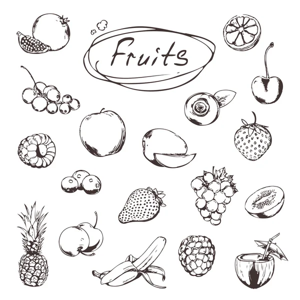 Fruits and berries, sketches of icons vector set — Stock Vector