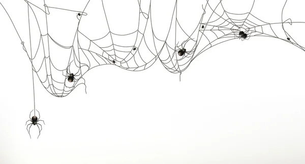 Spiders and spider web, vector set — Stock Illustration Spiders and spider web, vector set Stock Vector