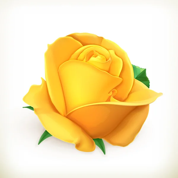 Rose flower, vector illustration — Stock Vector