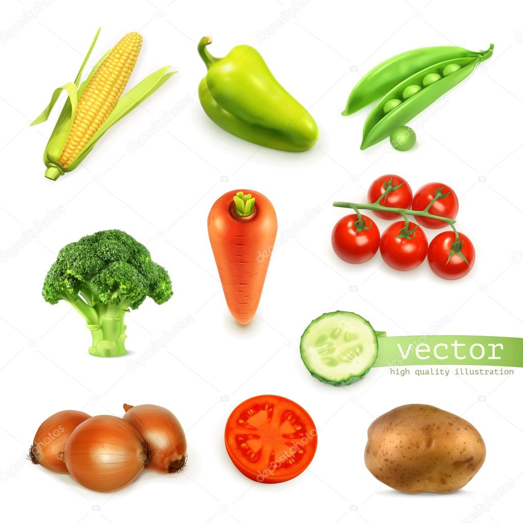 Set of vegetables, vector illustration