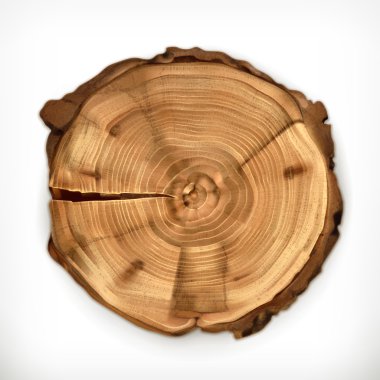 Tree stump, round cut with annual rings clipart