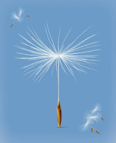 Dandelion seeds on blue — Stock Vector