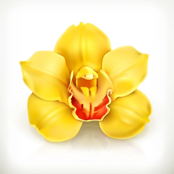 Icona del fiore del Orchid — Vettoriale Stock