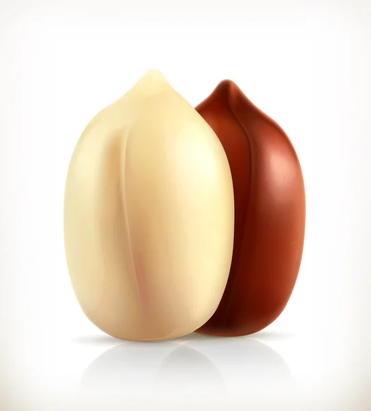 Icônes cacahuètes sur blanc — Image vectorielle