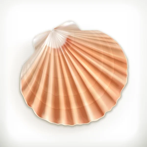 Seashell pictogram op wit — Stockvector