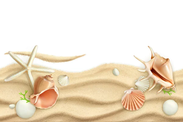 Seashells em fundo de areia —  Vetores de Stock