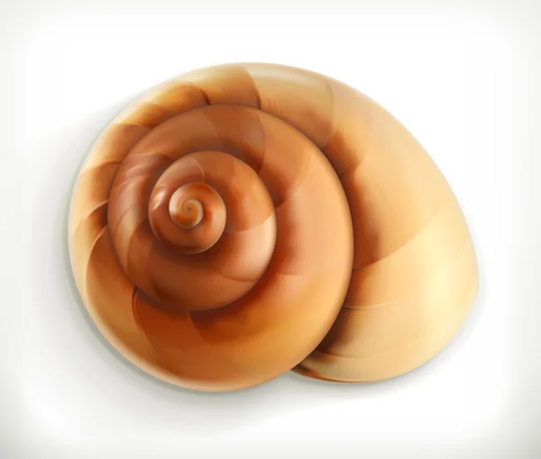 Spiral snigel ikonen — Stock vektor