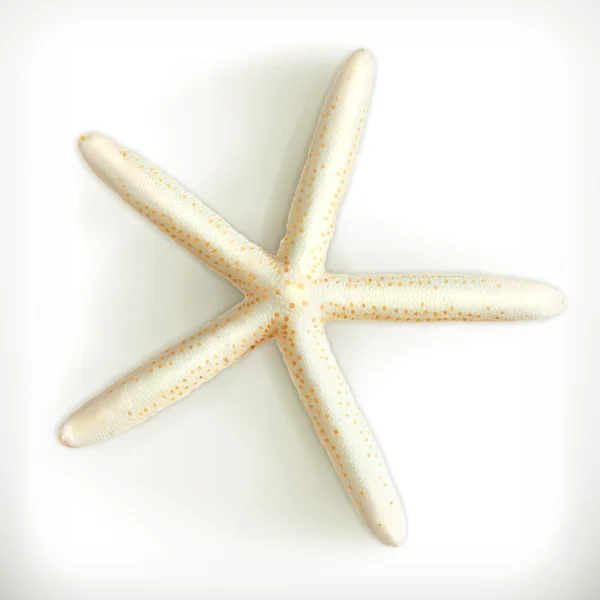 Icono de estrella de mar en blanco — Vector de stock