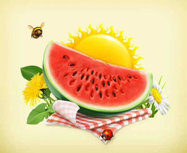 Summer, time for a picnic with  watermelon on tablecloth — Stock Vector