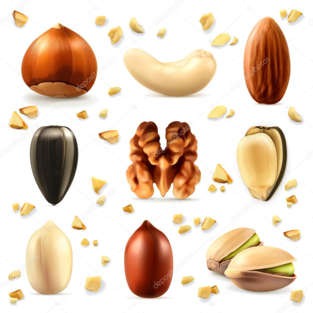 Set with nuts icons