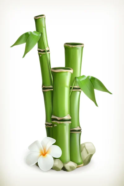 Green Bamboo,   icon — Stock Vector