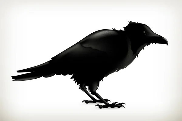 Black raven, silhouet — Stockvector