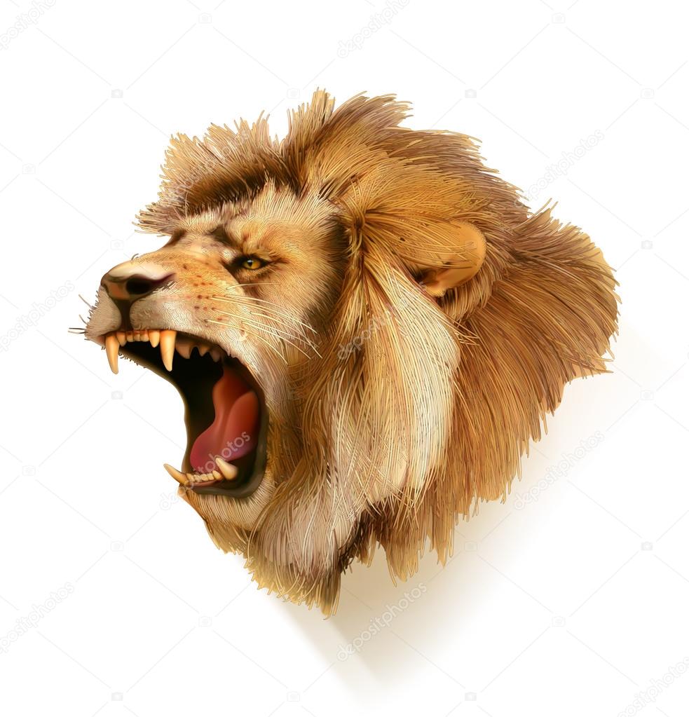 Roaring lion, head