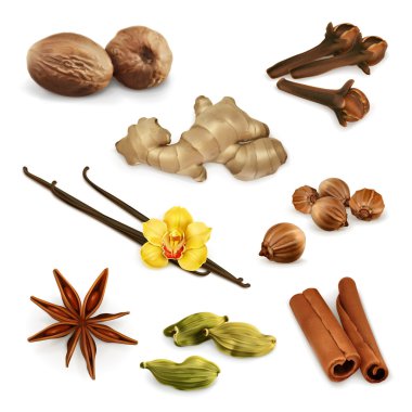 Baharat Icons set