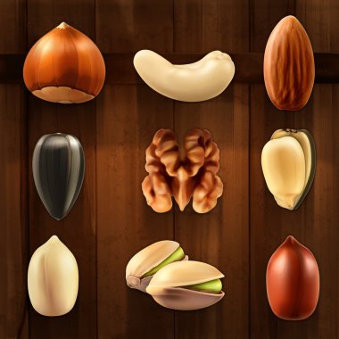 fındık Icons set