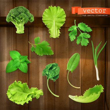 Yeşiller, vector Icons set