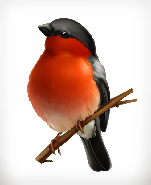 Icona vettore Bullfinch — Vettoriale Stock