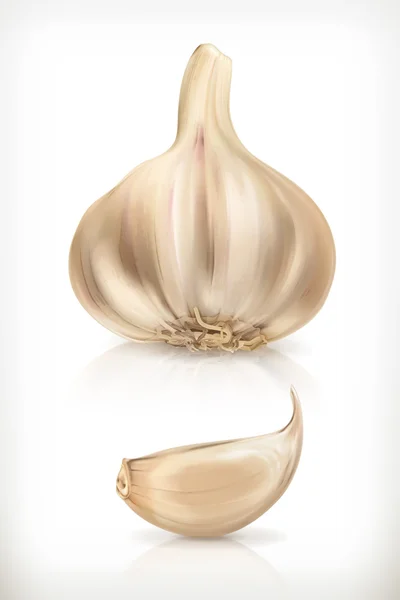 Knoblauch-Vektor-Symbole — Stockvektor