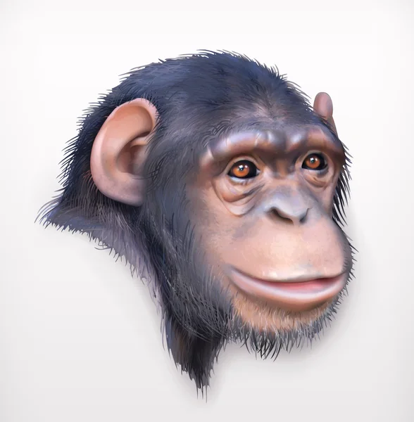 Chimpancé cabeza ilustración — Vector de stock