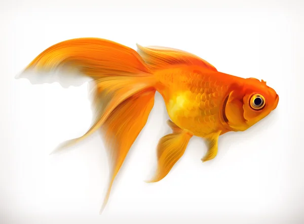 Ilustración vectorial Goldfish — Vector de stock