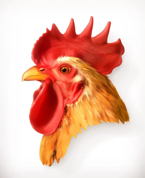 Ilustración cabeza gallo — Vector de stock