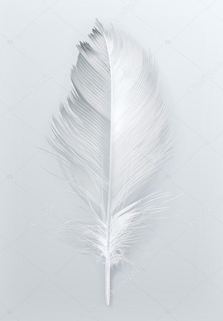 Bird feather icon