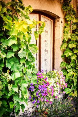 Renkli petunyaların ile dekore edilmiş ev pencere