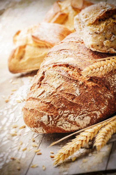 Vers gebakken brood in de rustieke omgeving — Stockfoto