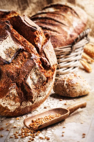 Selection of freshly baked bread — Stock Photo, Image