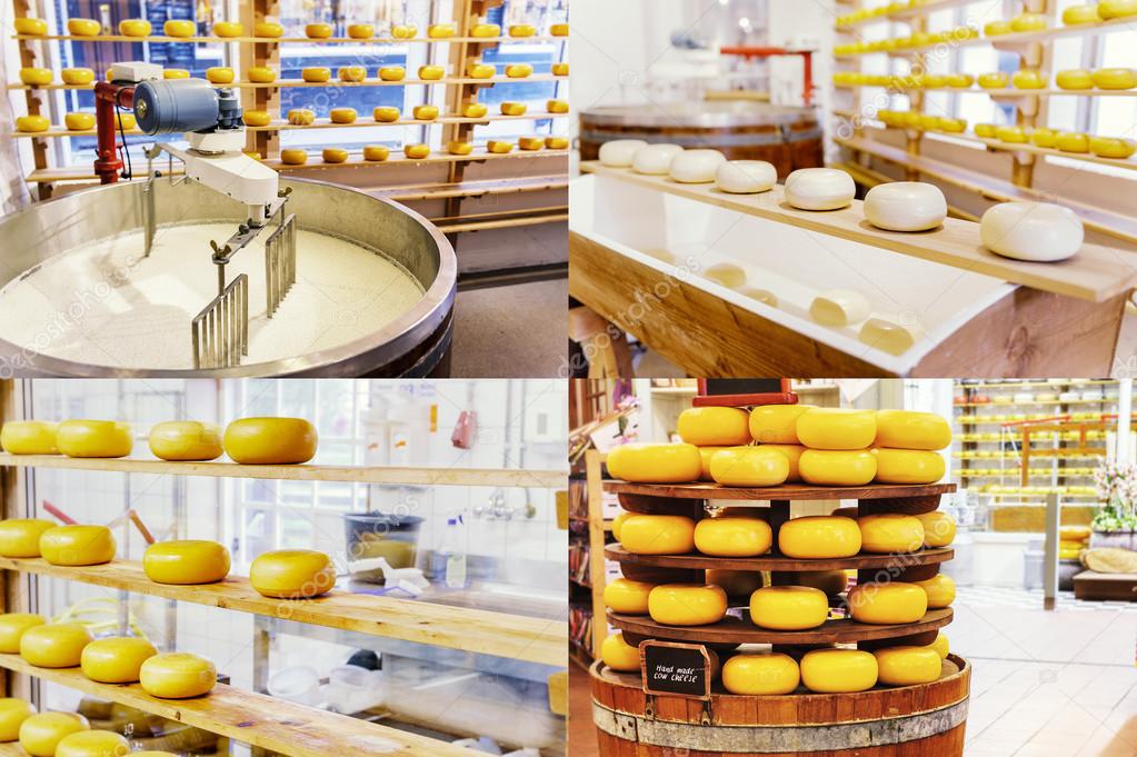Collage with cheese manufacturing process