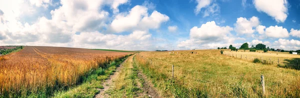 田舎道と夏の風景 — ストック写真