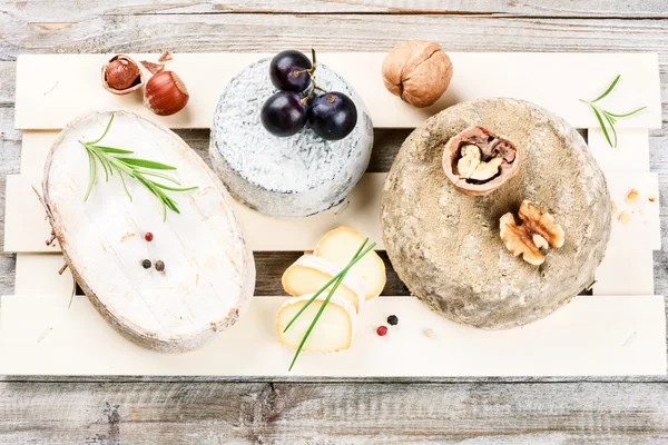 Fine selection of French cheese — Stock Photo, Image