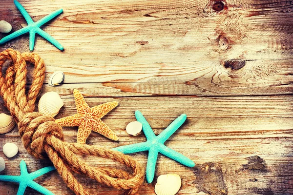 Deniz kabuklarını ve eski ip