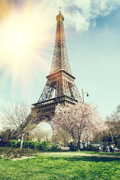 Eiffel tower — Stock Photo, Image