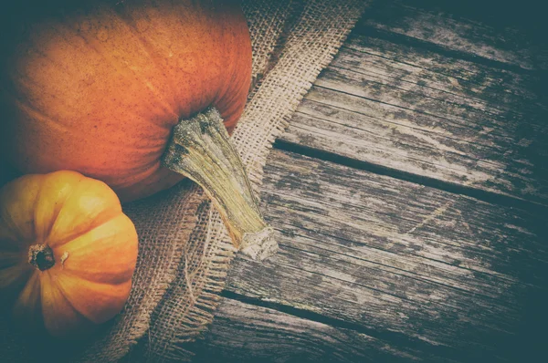 Höstens Stilleben med pumpor — Stockfoto