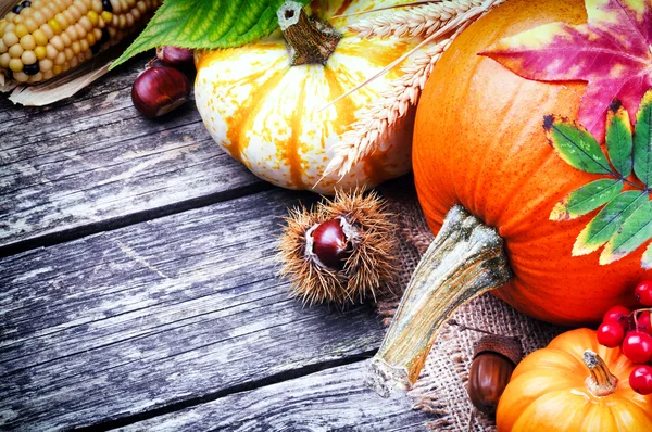 Höstens Stilleben med pumpor — Stockfoto