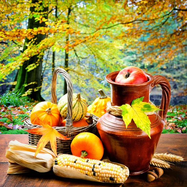 Осенний натюрморт с тыквами и кукурузой — стоковое фото