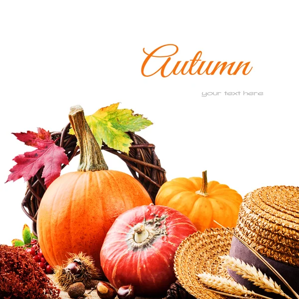 Herfst instelling met colofrful pumpkins — Stockfoto