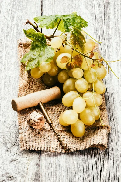 Bunch of grape in rustic setting — Stock Photo, Image