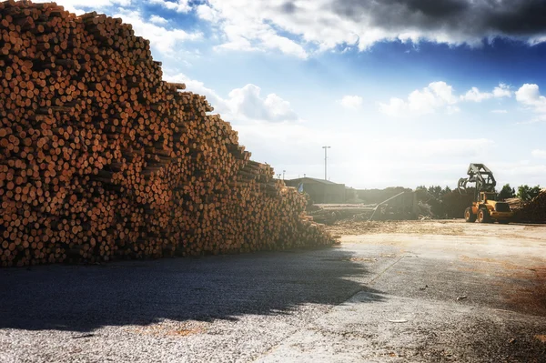 Madera apilada en aserradero — Foto de Stock