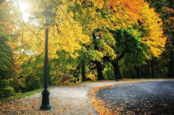 Kurviga vägen i höst park — Stockfoto