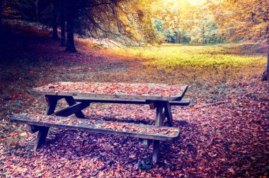 einsames Picknick-Platz in herbstliche Wald