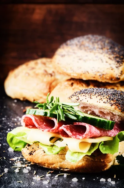 Fresh sandwich with salami and cheese — Stock Photo, Image