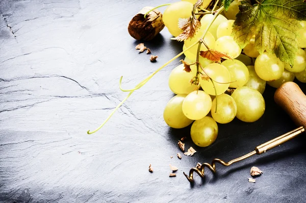 Bunch of white grape with grapevine — Stock Photo, Image