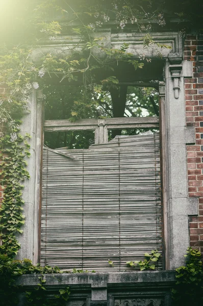 Old window with broken wooden shutters — Stock Photo, Image