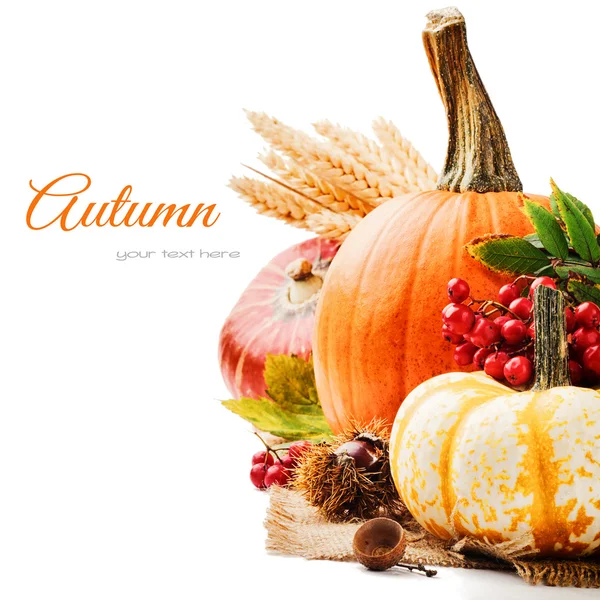 Herfst instelling met verschillende pumpkins — Stockfoto