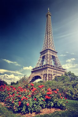 Paris yaz. Eyfel Kulesi